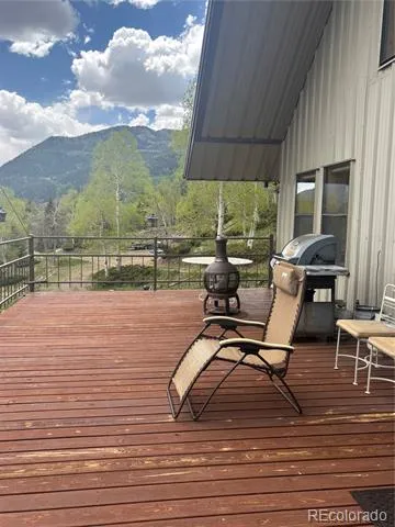 1113 Spring Street Jasper, CO 81144