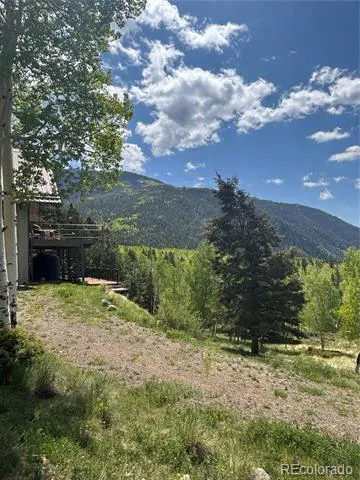1113 Spring Street Jasper, CO 81144