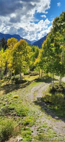 1113 Spring Street Jasper, CO 81144