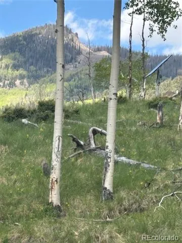 1113 Spring Street Jasper, CO 81144