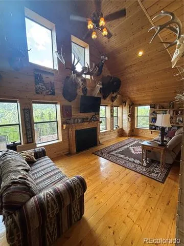 1113 Spring Street Jasper, CO 81144