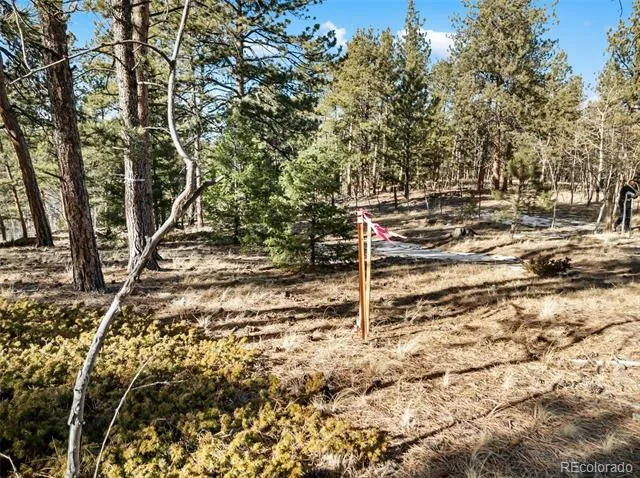 Lot 20 Echo Lake Drive Florissant, CO 80827