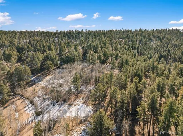 Lot 20 Echo Lake Drive Florissant, CO 80827