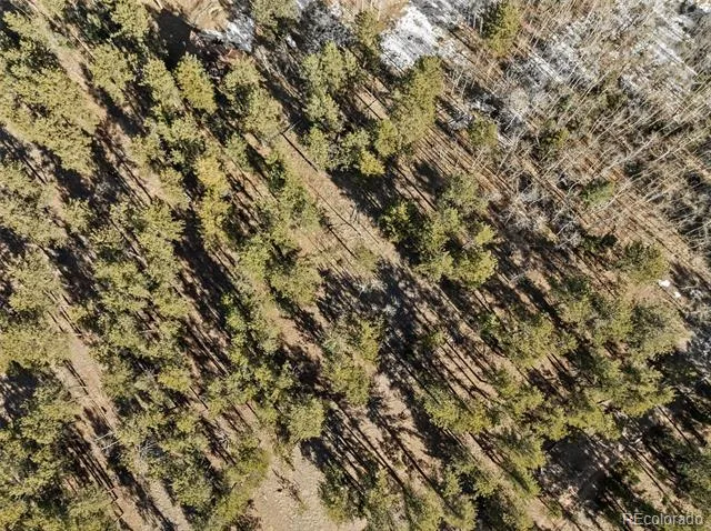 Lot 20 Echo Lake Drive Florissant, CO 80827