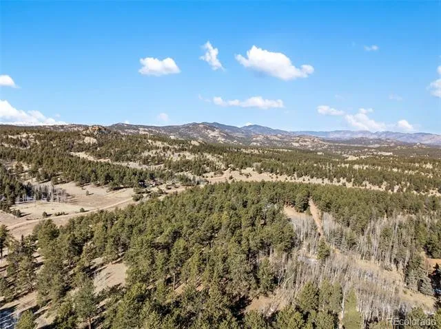 Lot 20 Echo Lake Drive Florissant, CO 80827