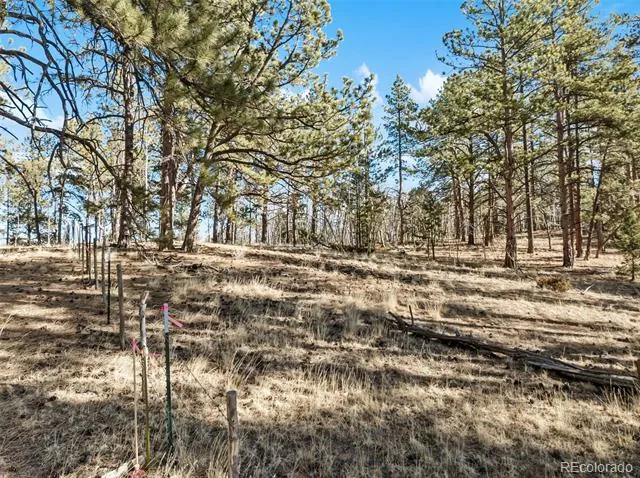 Lot 20 Echo Lake Drive Florissant, CO 80827