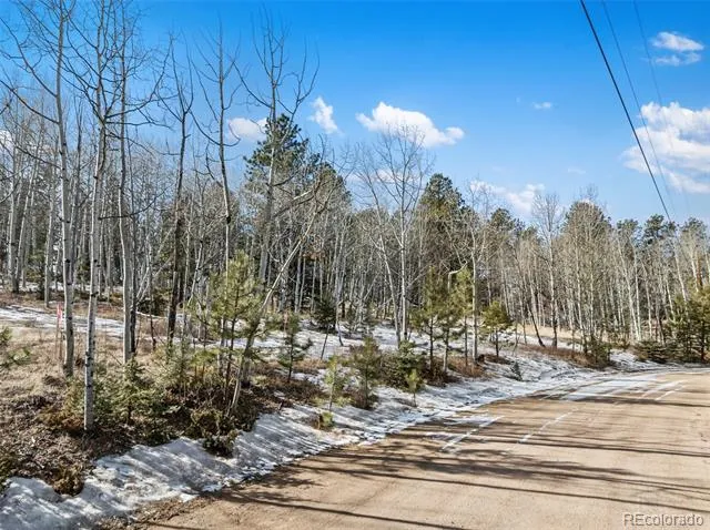 Lot 20 Echo Lake Drive Florissant, CO 80827
