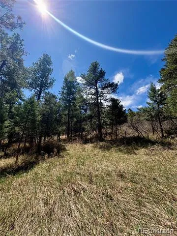 8200 Acoma Drive Larkspur, CO 80118