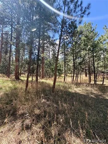 8200 Acoma Drive Larkspur, CO 80118