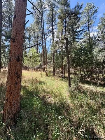 8200 Acoma Drive Larkspur, CO 80118