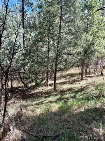 8200 Acoma Drive Larkspur, CO 80118