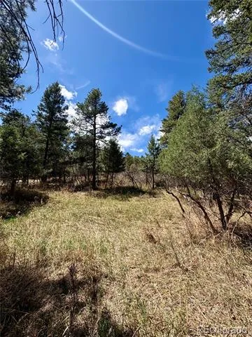 8200 Acoma Drive Larkspur, CO 80118