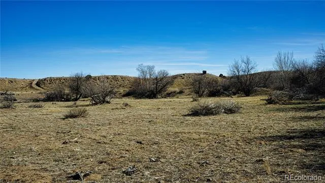 161 Colorado Land & Livestock Walsenburg, CO 81089