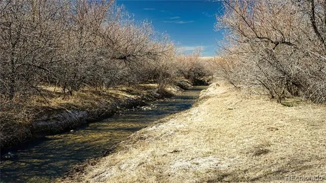 161 Colorado Land & Livestock Walsenburg, CO 81089