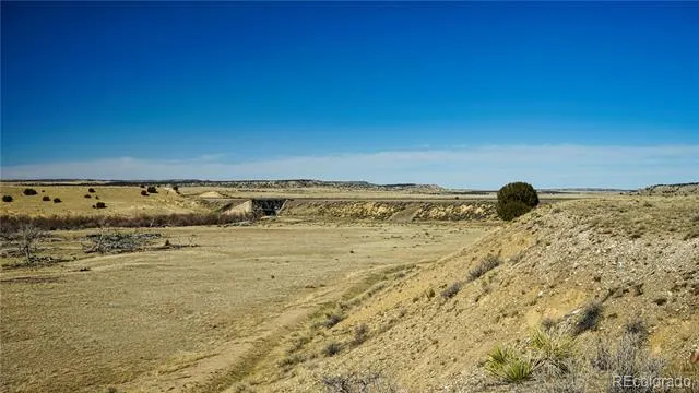 161 Colorado Land & Livestock Walsenburg, CO 81089
