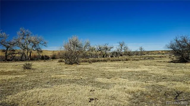 161 Colorado Land & Livestock Walsenburg, CO 81089