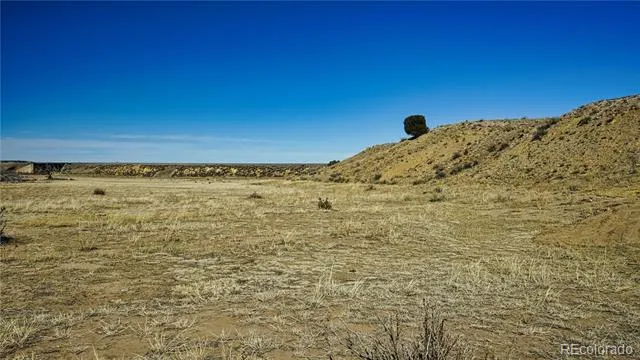 161 Colorado Land & Livestock Walsenburg, CO 81089
