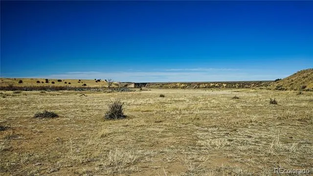161 Colorado Land & Livestock Walsenburg, CO 81089