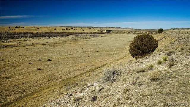 161 Colorado Land & Livestock Walsenburg, CO 81089