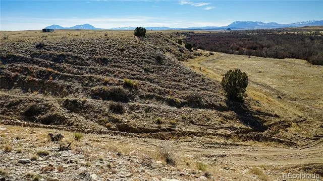 161 Colorado Land & Livestock Walsenburg, CO 81089