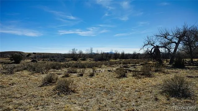 161 Colorado Land & Livestock Walsenburg, CO 81089