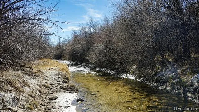 161 Colorado Land & Livestock Walsenburg, CO 81089