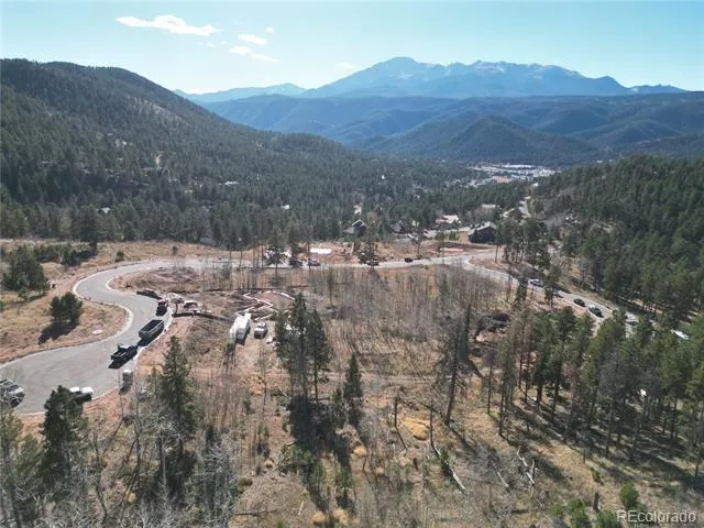 13 Blue Haven Place Woodland Park, CO 80863