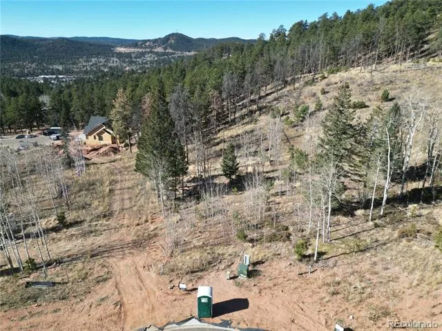 13 Blue Haven Place Woodland Park, CO 80863
