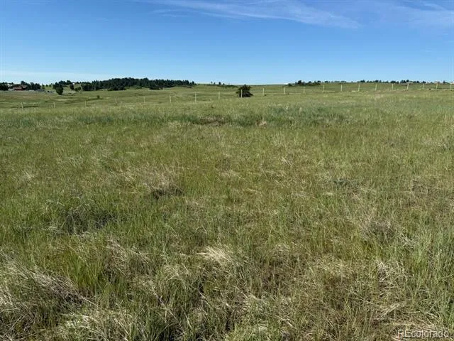 35501 Cheyenne Trail Elizabeth, CO 80107