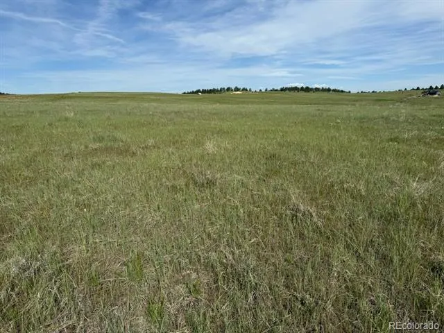 35501 Cheyenne Trail Elizabeth, CO 80107