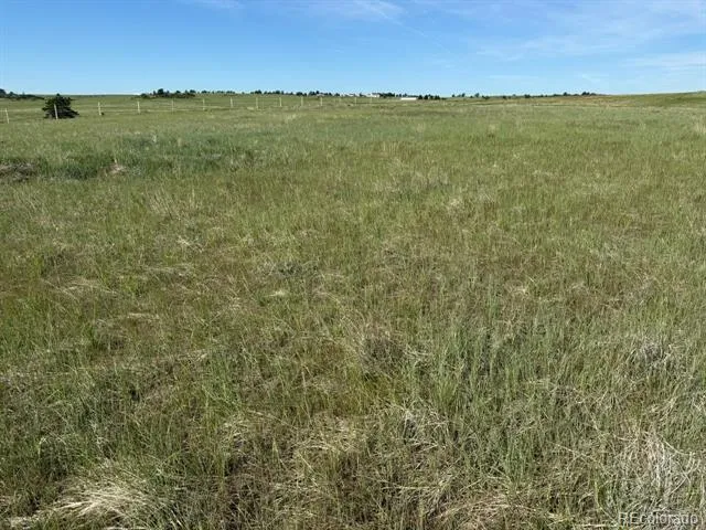 35501 Cheyenne Trail Elizabeth, CO 80107