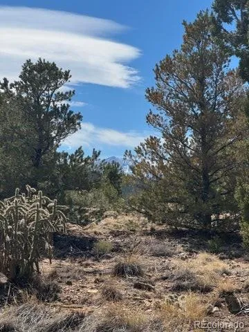 L29-30 B2 Orlando's Way Walsenburg, CO 81089