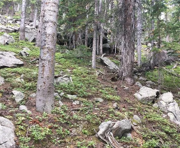 Nebraska Circle Idaho Springs, CO 80452