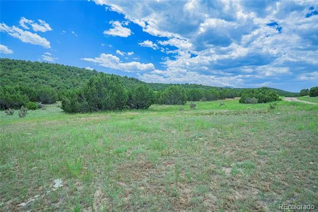 254 Sunset Court Walsenburg, CO 81089