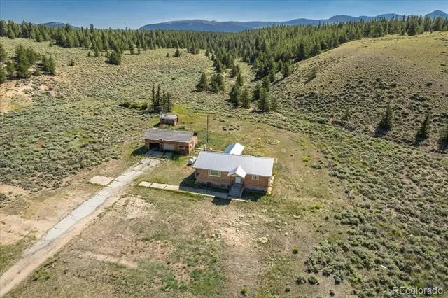 8361 Bank Placer Leadville, CO 80461