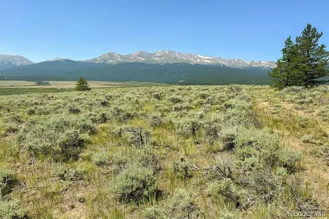 8361 Bank Placer Leadville, CO 80461