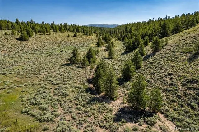 8361 Bank Placer Leadville, CO 80461
