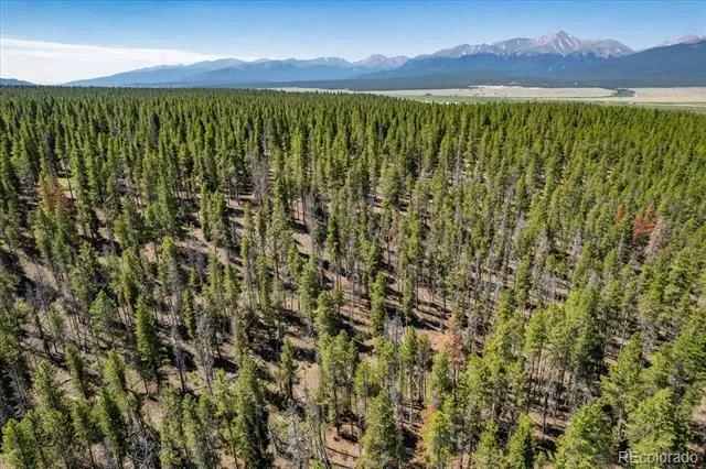 8361 Bank Placer Leadville, CO 80461