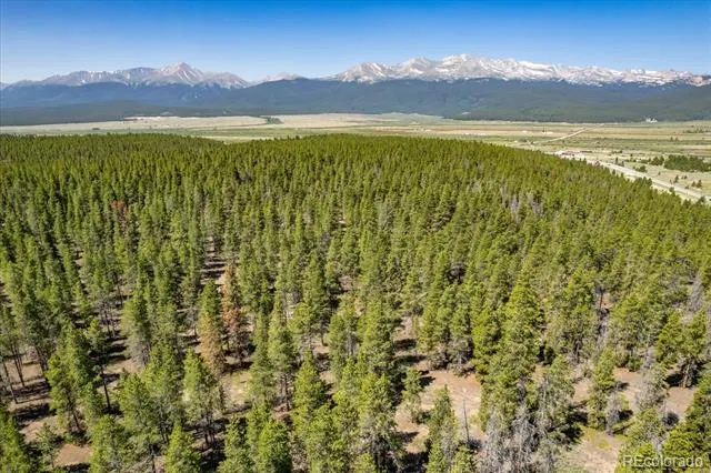 8361 Bank Placer Leadville, CO 80461