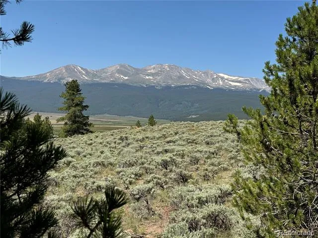 8361 Bank Placer Leadville, CO 80461