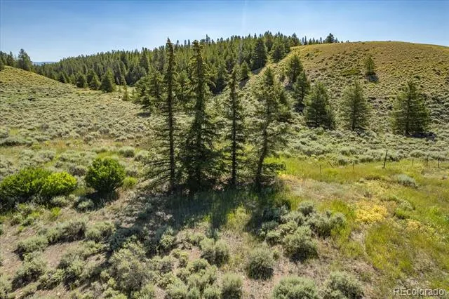 8361 Bank Placer Leadville, CO 80461