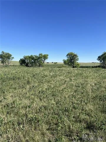 27933 Private Road 139 Simla, CO 80835