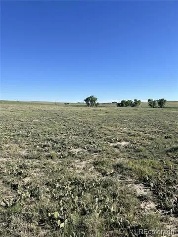 27933 Private Road 139 Simla, CO 80835