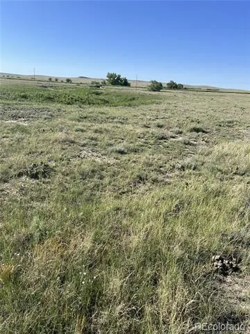 27933 Private Road 139 Simla, CO 80835