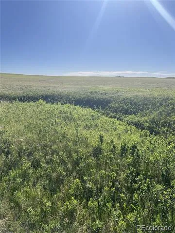 27933 Private Road 139 Simla, CO 80835