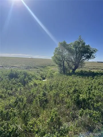 27933 Private Road 139 Simla, CO 80835