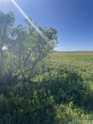 27933 Private Road 139 Simla, CO 80835