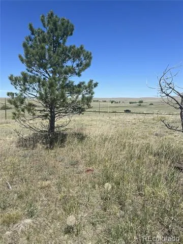 27933 Private Road 139 Simla, CO 80835