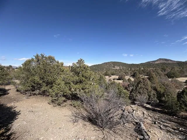 91 King Place Cotopaxi, CO 81223