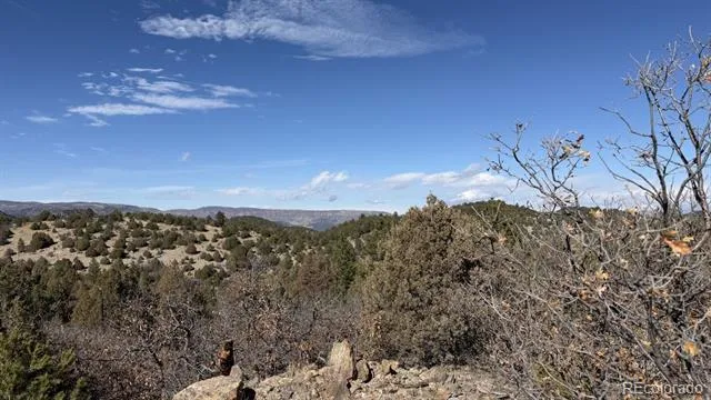 91 King Place Cotopaxi, CO 81223